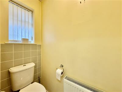 Picture 12